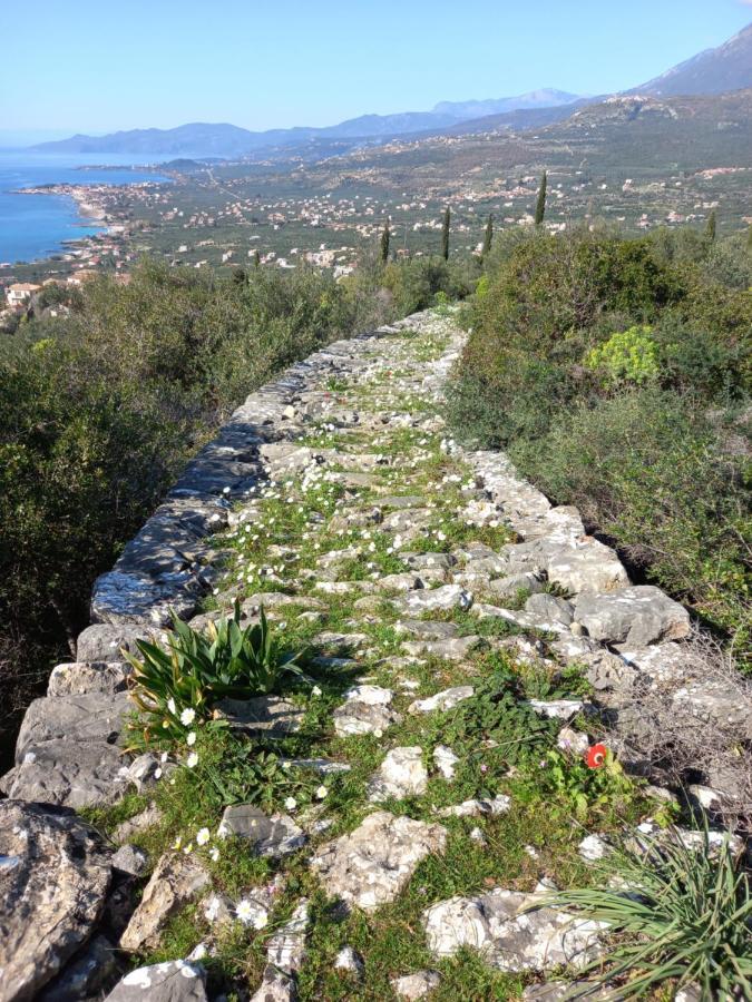 Villa Pefnos Agios Nikolaos  Exteriör bild