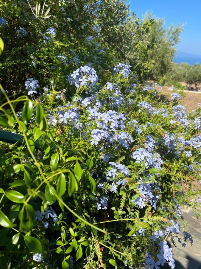 Villa Pefnos Agios Nikolaos  Exteriör bild