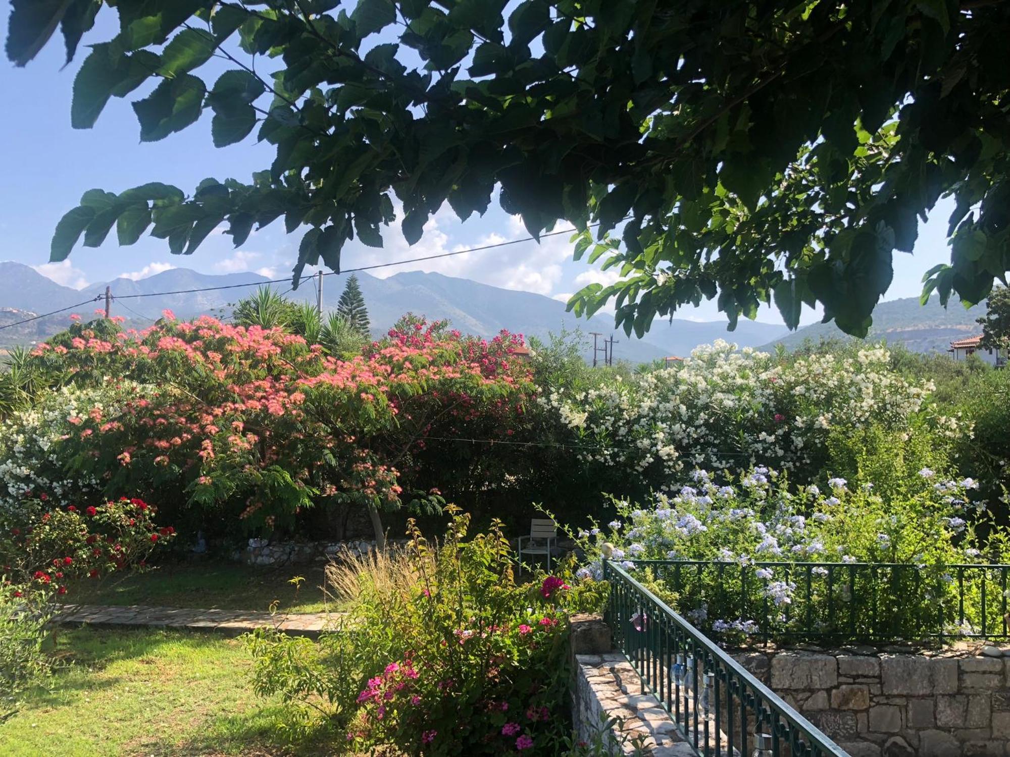 Villa Pefnos Agios Nikolaos  Exteriör bild
