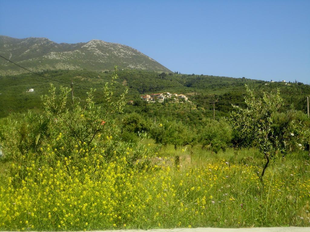Villa Pefnos Agios Nikolaos  Exteriör bild